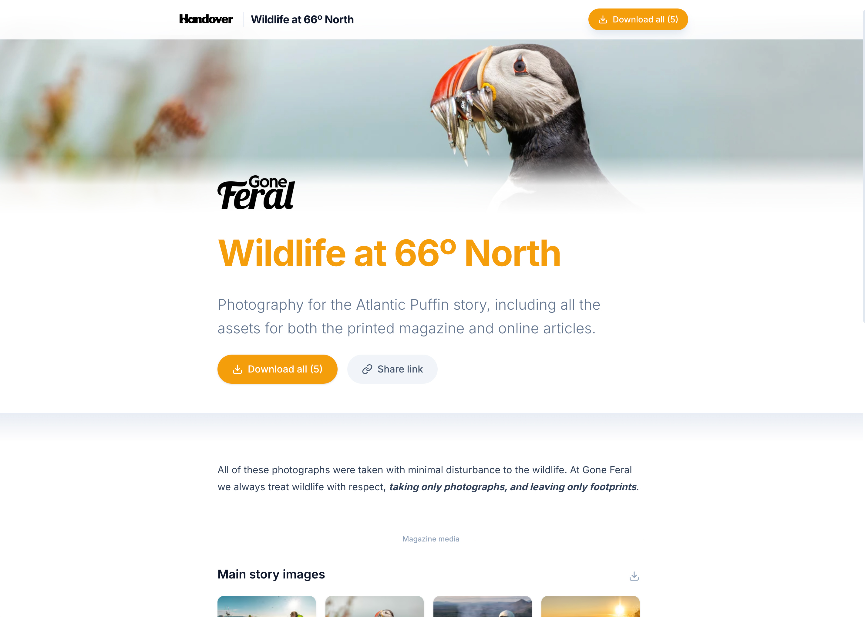 Delivery page preview